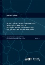 Modellierung mehrkomponentiger Materialsysteme für die Phasenfeldmethode und Analyse der simulierten Mikrostrukturen