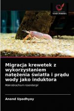 Migracja krewetek z wykorzystaniem natężenia światla i prądu wody jako induktora