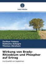 Wirkung von Brady-Rhizobium und Phosphor auf Ertrag