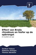 Effect van Brady rhizobium en fosfor op de opbrengst