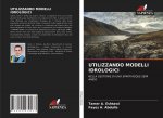 Utilizzando Modelli Idrologici
