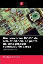 Um conversor DC-DC de alta eficiencia de ponto de condensador comutado de carga