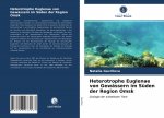 Heterotrophe Euglenae von Gewassern im Suden der Region Omsk