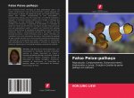Falso Peixe-palhaco
