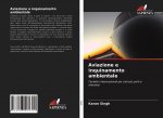Aviazione e inquinamento ambientale