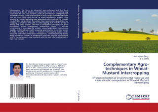 Complementary Agro-techniques in Wheat-Mustard Intercropping