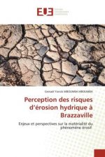 Perception des risques d?érosion hydrique ? Brazzaville