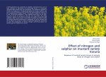 Effect of nitrogen and sulphur on mustard variety Varuna
