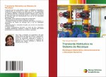Transiente Hidraulico no Sistema de Recalque