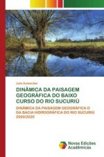 Dinamica Da Paisagem Geografica Do Baixo Curso Do Rio Sucuriu