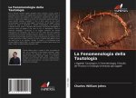 Fenomenologia della Tautologia