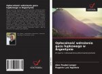 Oplacalnośc wdrożenia gazu lupkowego w Argentynie
