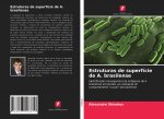 Estruturas de superficie de A. brasilense