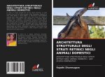 Architettura Strutturale Degli Strati Retinici Negli Animali Domestici