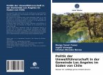 Politik der Umweltfuhrerschaft in der Gemeinde Los Angeles im Suden von Chile
