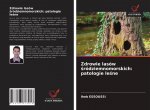 Zdrowie lasow środziemnomorskich