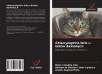 Chlamydophila felis u kotow domowych