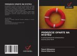 PodejŚcie Oparte Na Ryzyku
