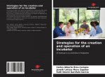 Strategies for the creation and operation of an incubator