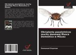 Obciążenia pasożytnicze muchy domowej Musca Domestica w Mouau