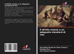 diritto umano a un adeguato standard di vita