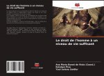 droit de l'homme a un niveau de vie suffisant