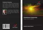 Feminizm krytyczny
