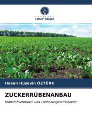 Zuckerrubenanbau