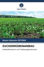 Zuckerrubenanbau