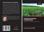 Uprawa Buraka Cukrowego
