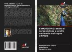 Evoluzione
