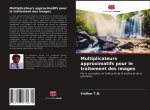 Multiplicateurs approximatifs pour le traitement des images