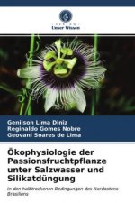 Ökophysiologie der Passionsfruchtpflanze unter Salzwasser und Silikatdüngung