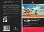Avaliaç?o de anticorpos de cadeia pesada de camelos