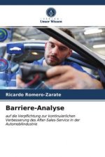 Barriere-Analyse