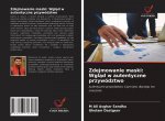 Zdejmowanie maski: Wgl?d w autentyczne przywództwo