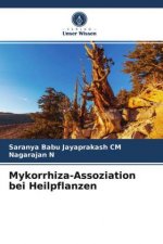 Mykorrhiza-Assoziation bei Heilpflanzen