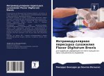 Intramedullqrnaq peresadka suhozhiliq Flexor Digitorum Brevis