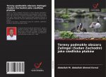 Tereny podmok?e obszaru Zalingei (Sudan Zachodni) jako siedliska ptaków