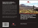 Reglementation juridique de relations dans le domaine de la utilisation du sous-sol