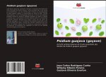 Psidium guajava (goyave)