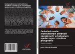 Do?wiadczenie instruktorów ?rodków zaradczych w kolegium spo?ecznym: studium przypadku