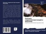 Plotiny gidroälektrostancij w Amazonii