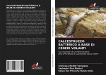 CALCESTRUZZO BATTERICO A BASE DI CENERI VOLANTI