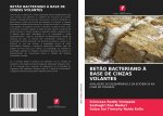 BET?O BACTERIANO ? BASE DE CINZAS VOLANTES