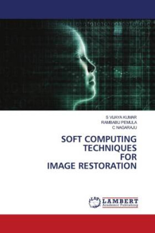 Soft Computing Techniques for Image Restoration