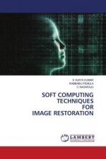 Soft Computing Techniques for Image Restoration