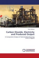 Carbon Dioxide, Electricity and Produced Output