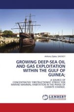 GROWING DEEP-SEA OIL AND GAS EXPLOITATION WITHIN THE GULF OF GUINEA;