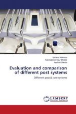 Evaluation and comparison of different post systems